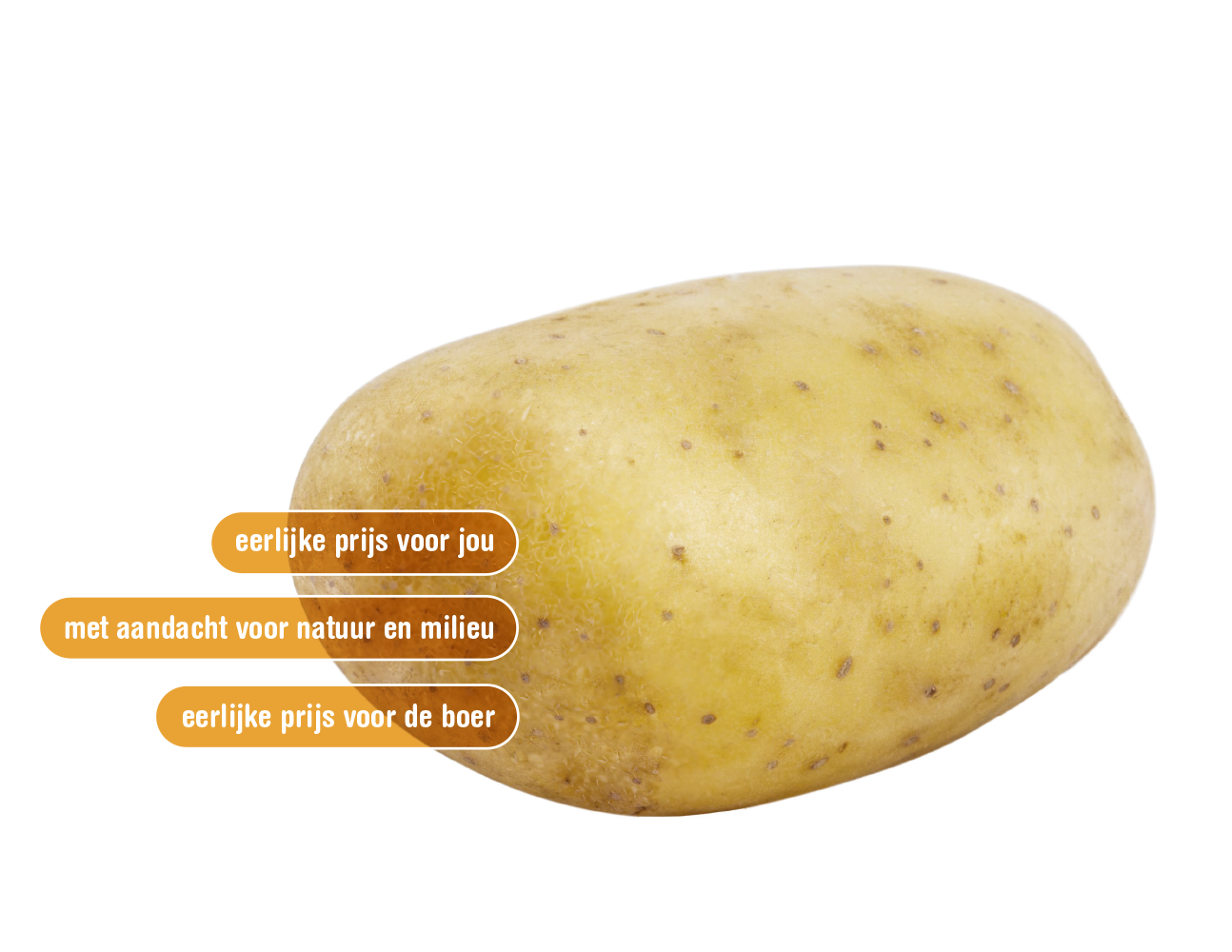 aardappel