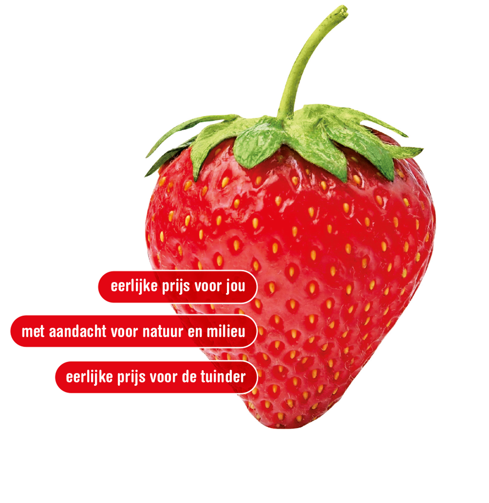 aardbei