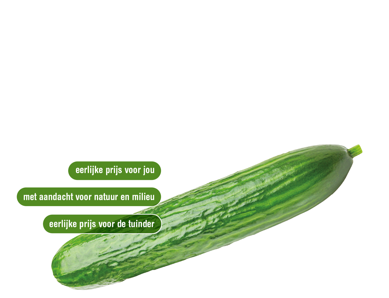 komkommer
